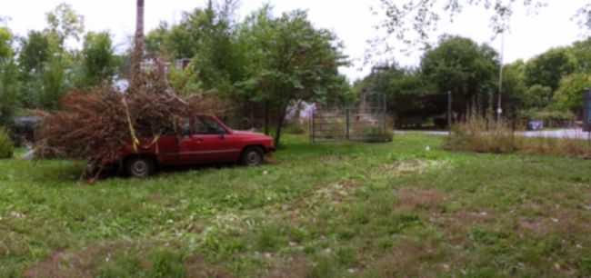 Gallery side yard getting cleaned out