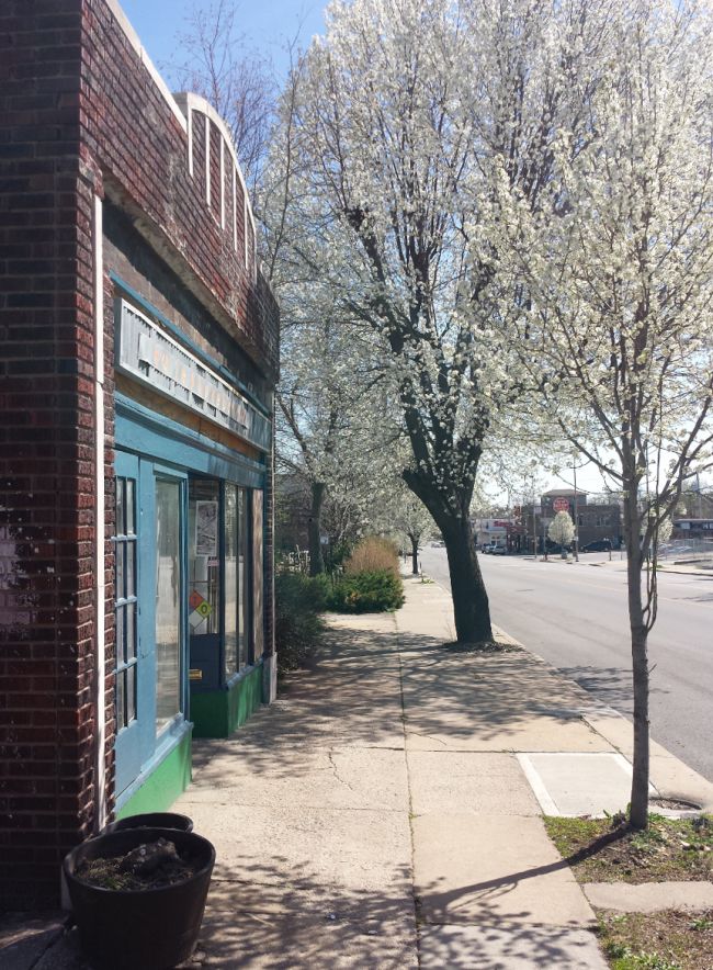 Telephonebooth Gallery front with tree in bloom